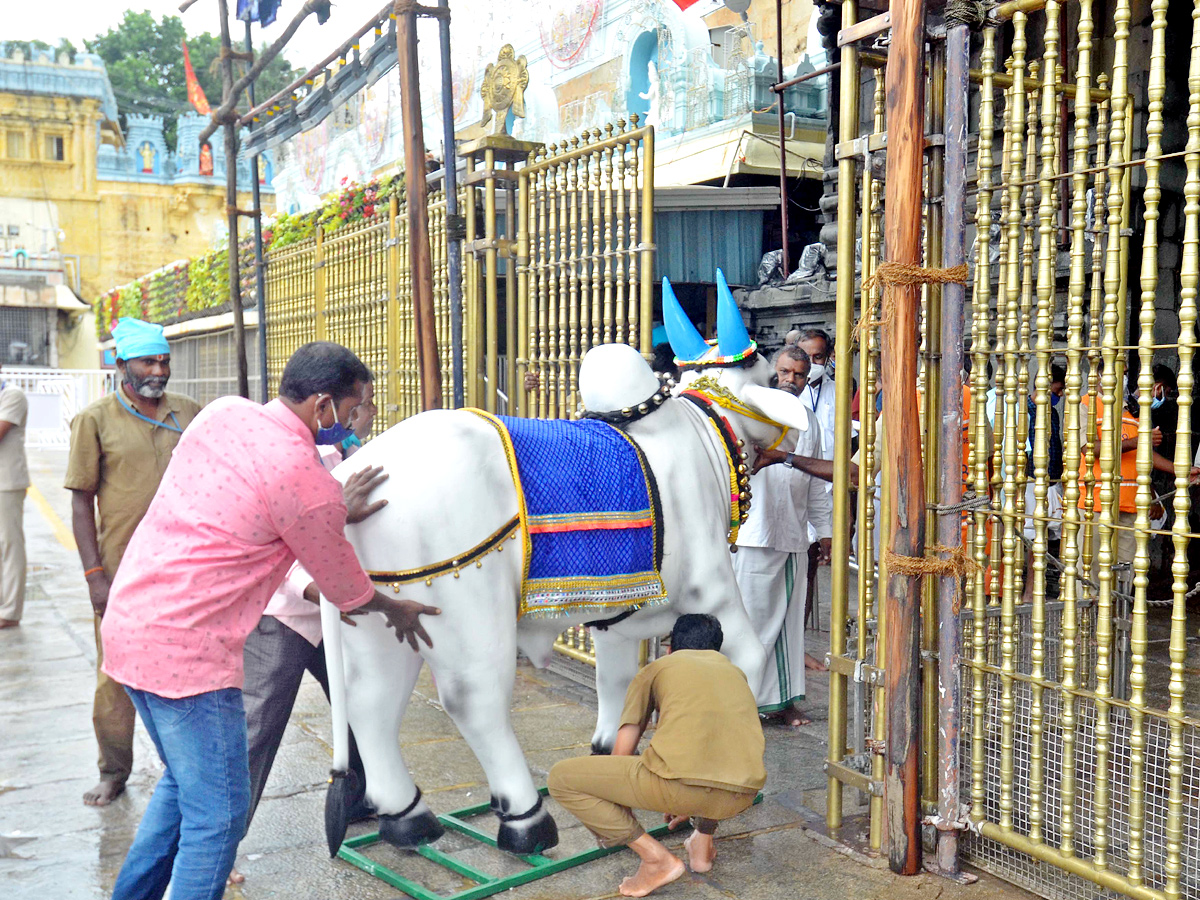 Photos : Tirumala Salakatla Brahmotsavam - Sakshi11