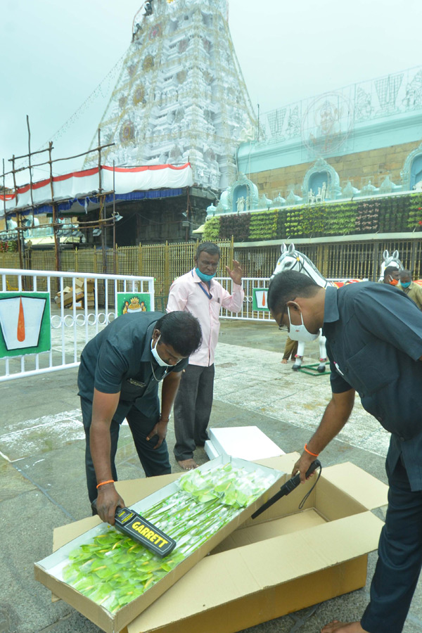 Photos : Tirumala Salakatla Brahmotsavam - Sakshi20