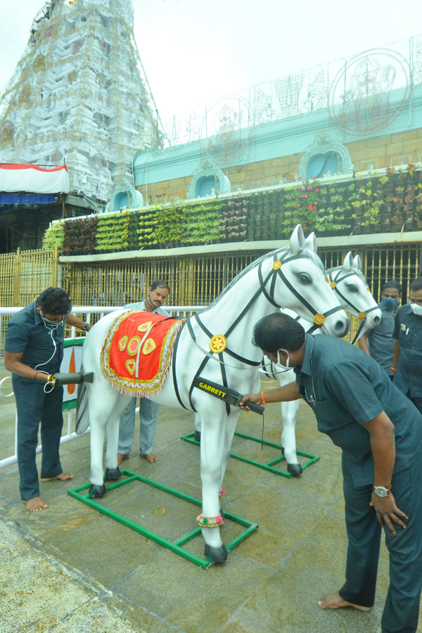 Photos : Tirumala Salakatla Brahmotsavam - Sakshi23