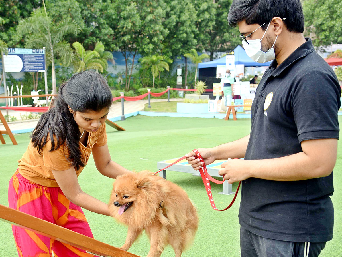 Indies Dog Show At Dog Park Gachibowli Photo Gallery - Sakshi13