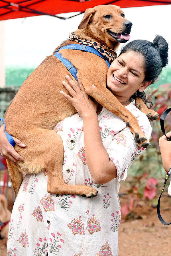 Indies Dog Show At Dog Park Gachibowli Photo Gallery - Sakshi15