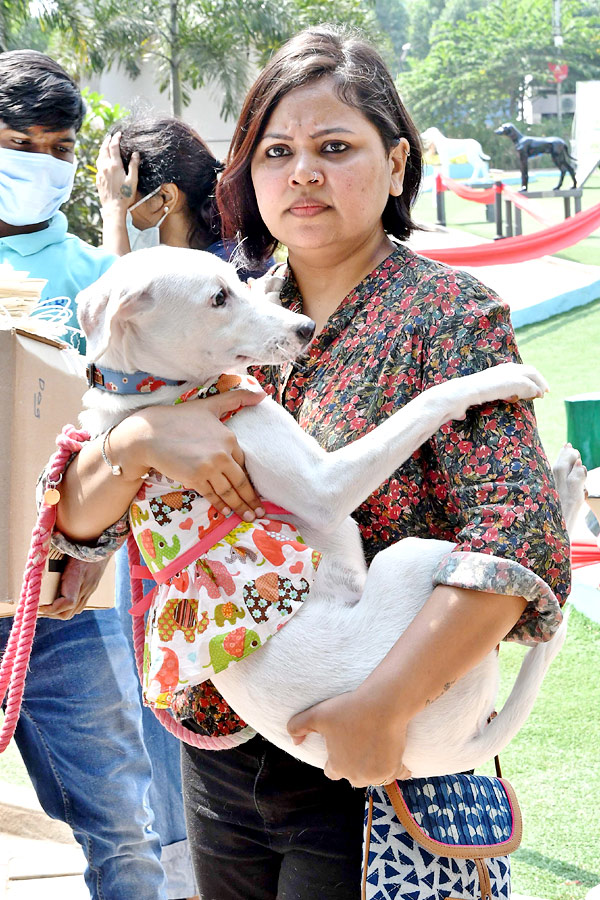 Indies Dog Show At Dog Park Gachibowli Photo Gallery - Sakshi16