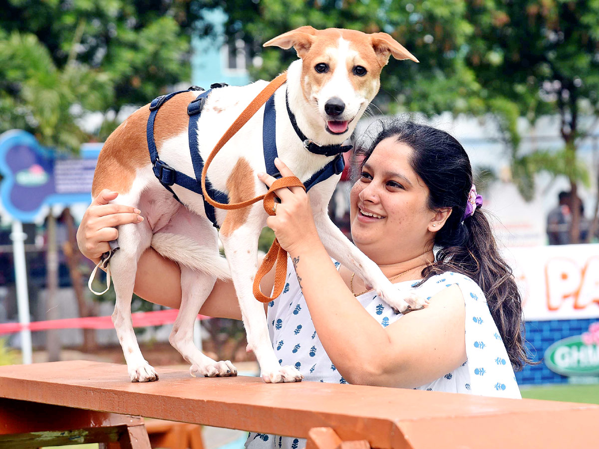 Indies Dog Show At Dog Park Gachibowli Photo Gallery - Sakshi2