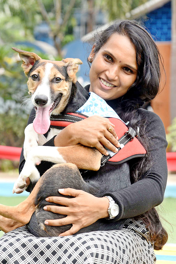 Indies Dog Show At Dog Park Gachibowli Photo Gallery - Sakshi21