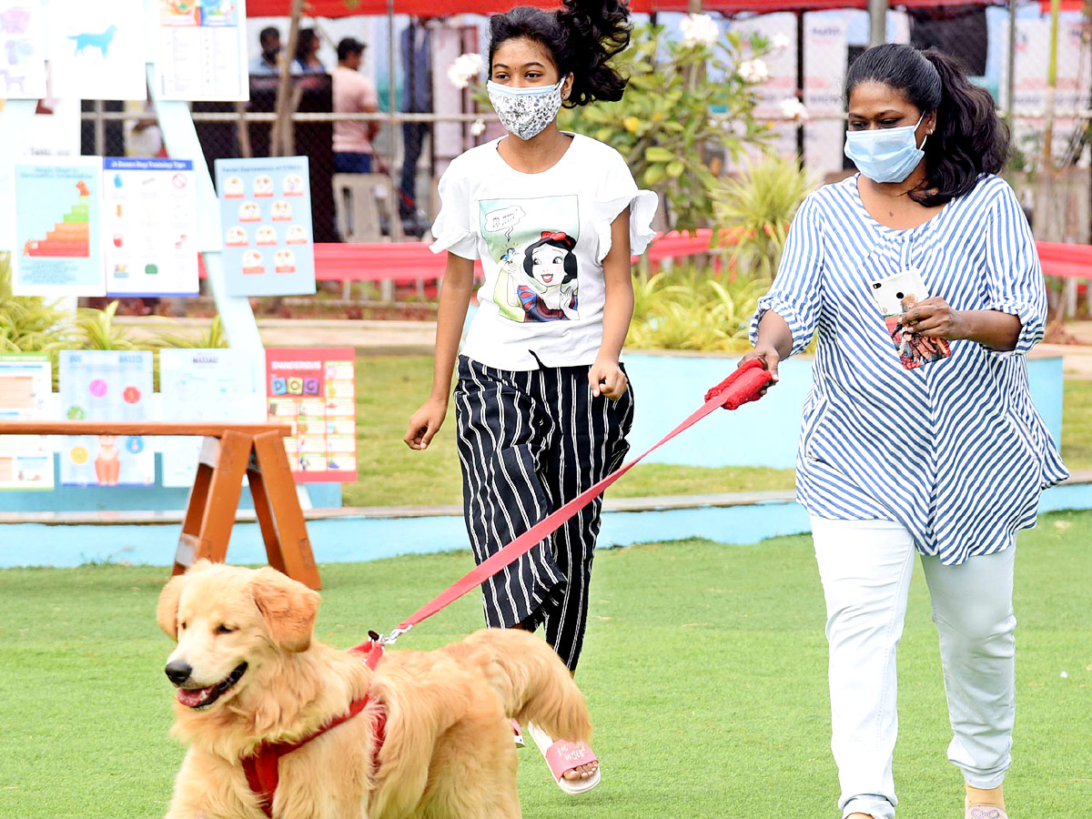 Indies Dog Show At Dog Park Gachibowli Photo Gallery - Sakshi14