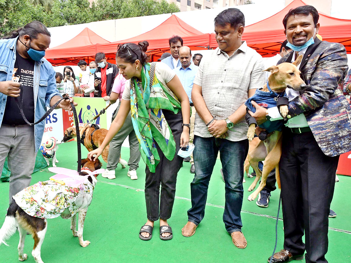 Indies Dog Show At Dog Park Gachibowli Photo Gallery - Sakshi4