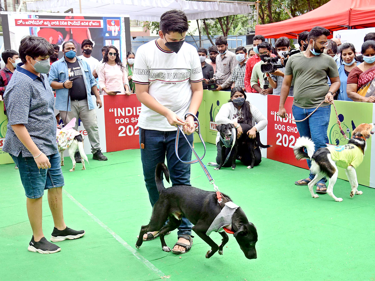 Indies Dog Show At Dog Park Gachibowli Photo Gallery - Sakshi5