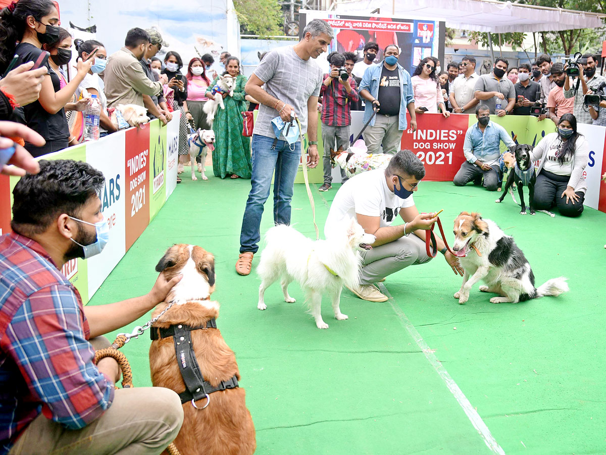 Indies Dog Show At Dog Park Gachibowli Photo Gallery - Sakshi7