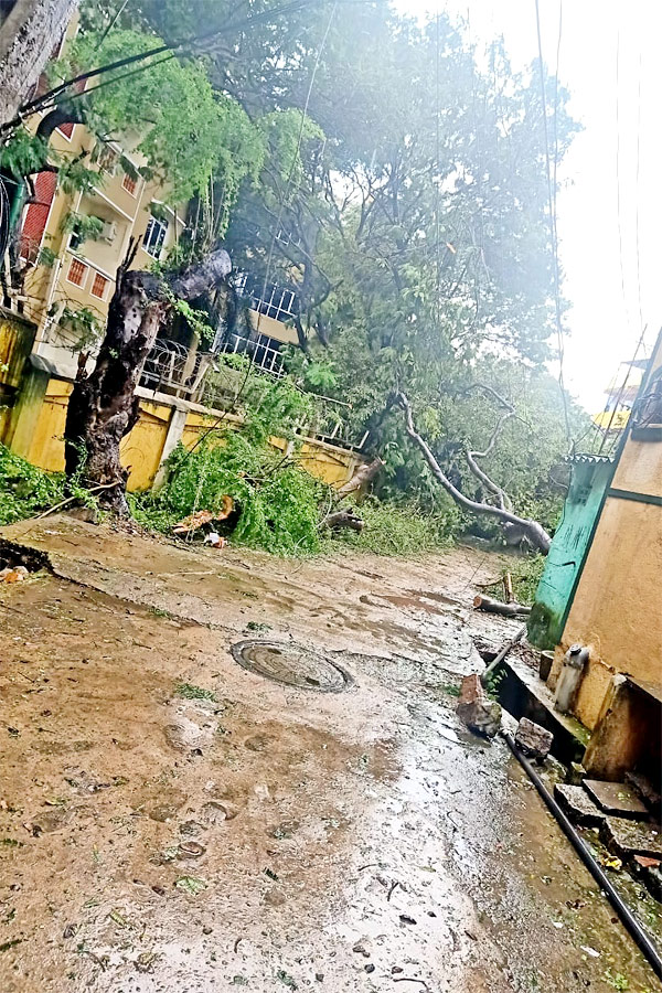 Heavy Rainfall At Tirupati In Chittoor Photo Gallery - Sakshi33