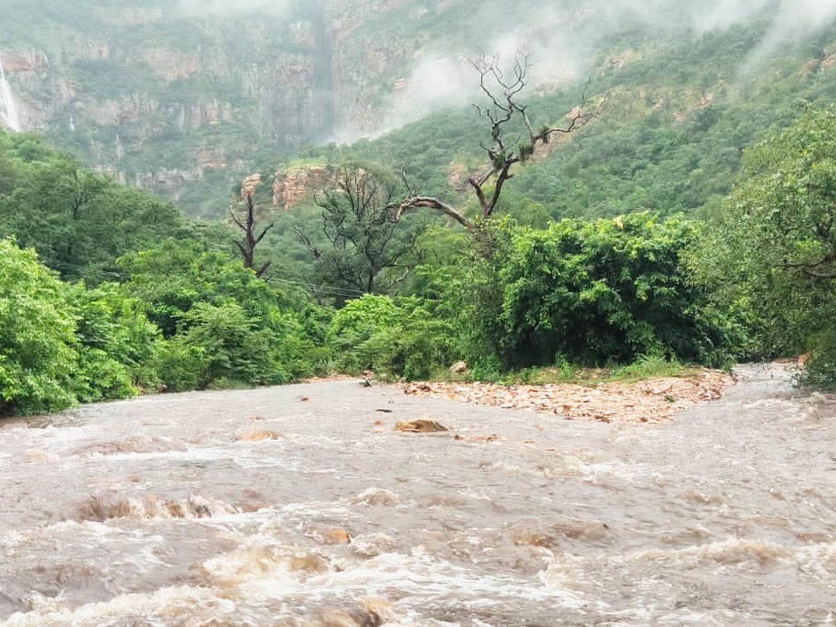 Heavy rainfall in andhra pradesh HD Photos - Sakshi10