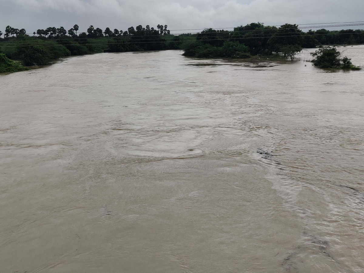 Heavy rainfall in andhra pradesh HD Photos - Sakshi17