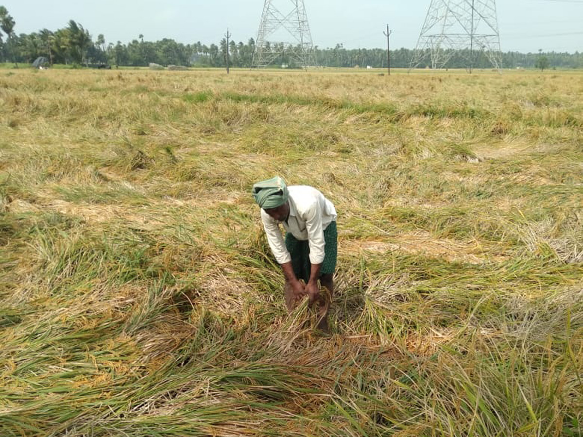 Heavy rainfall in andhra pradesh HD Photos - Sakshi18