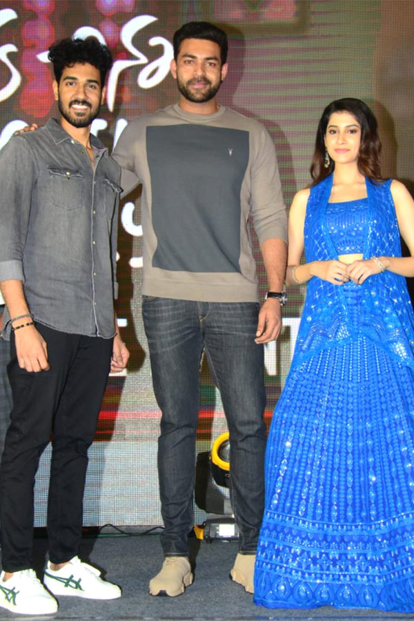 Oka Chinna Family Story Pre Release Event Photo Gallery - Sakshi8