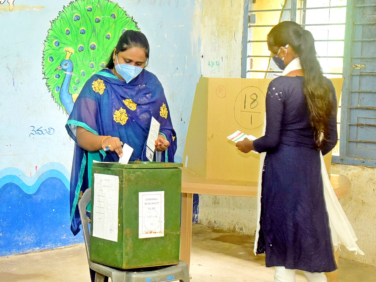 AP Municipal‌ Elections Photo Gallery - Sakshi18