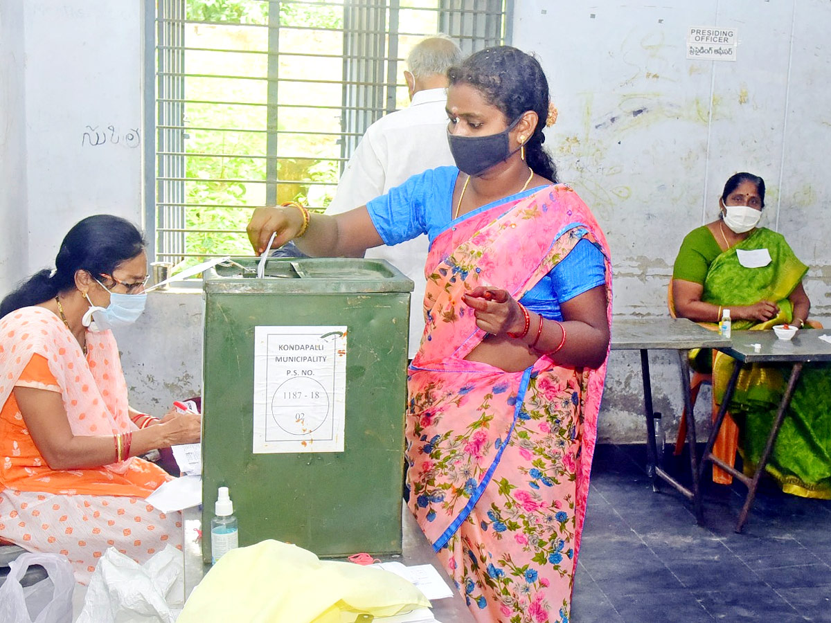 AP Municipal‌ Elections Photo Gallery - Sakshi19