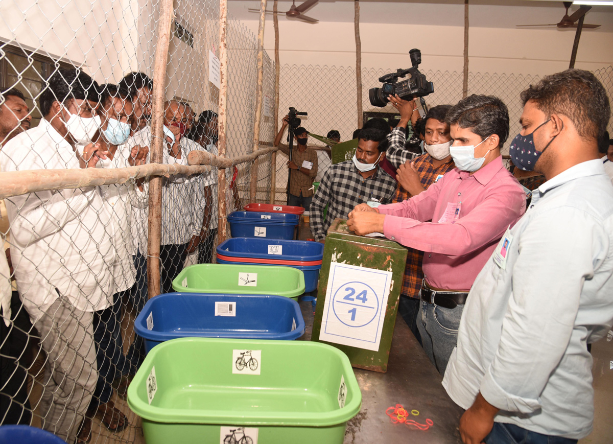 YSRCP Celebrates Municipal Elections Victory - Sakshi13