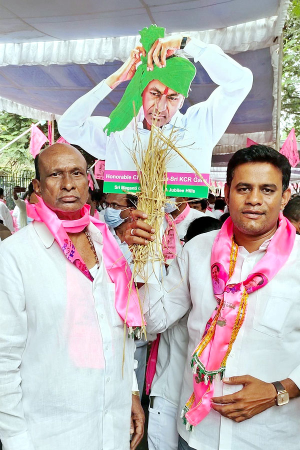 TRS Party Hold Maha Dharna At Indira Park Photo Gallery - Sakshi11