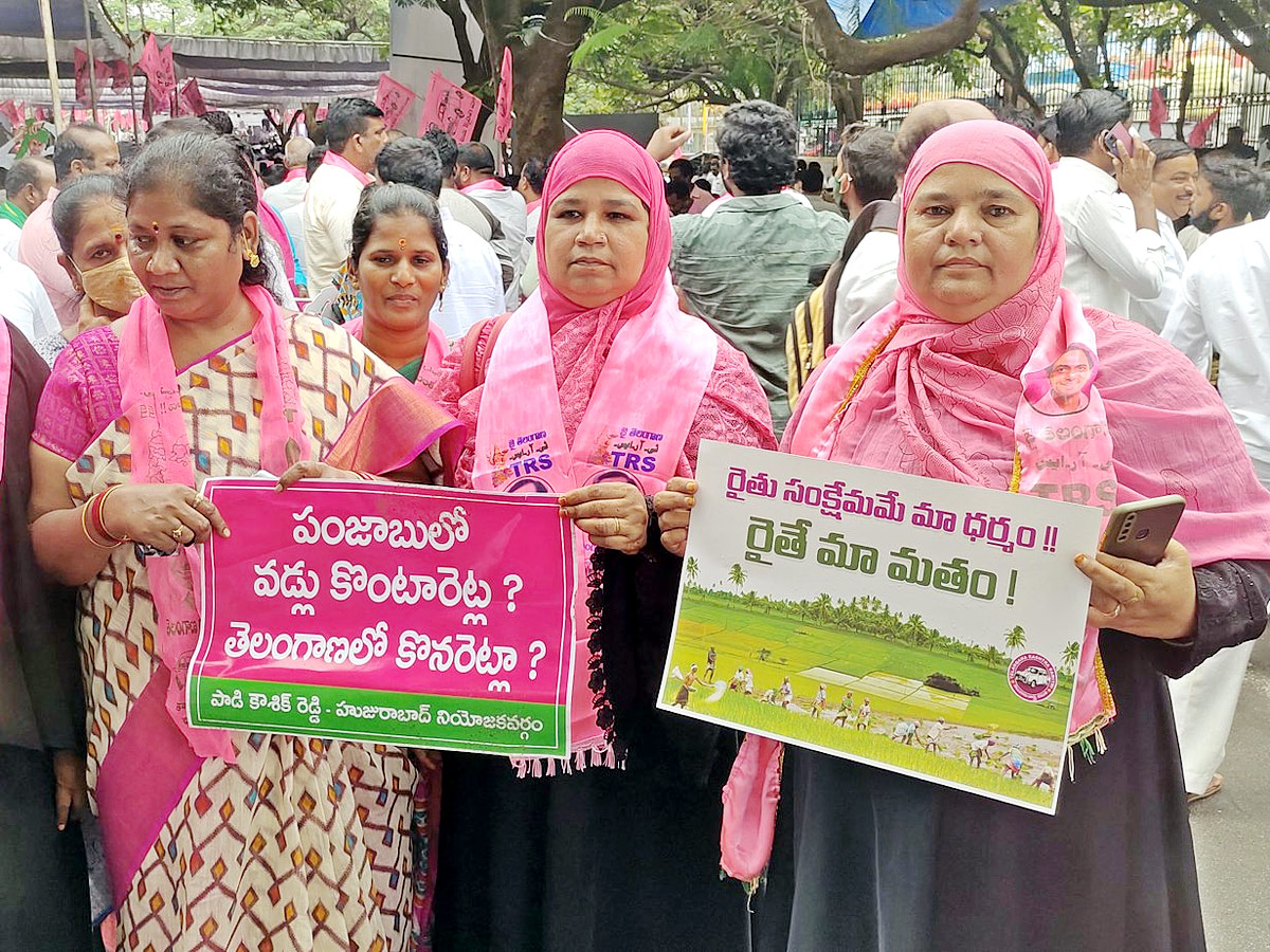 TRS Party Hold Maha Dharna At Indira Park Photo Gallery - Sakshi8