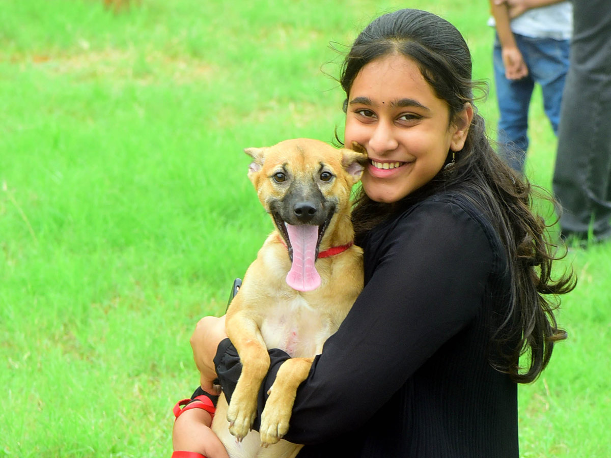 Dog Show In VIjayawada Photo Gallery - Sakshi11