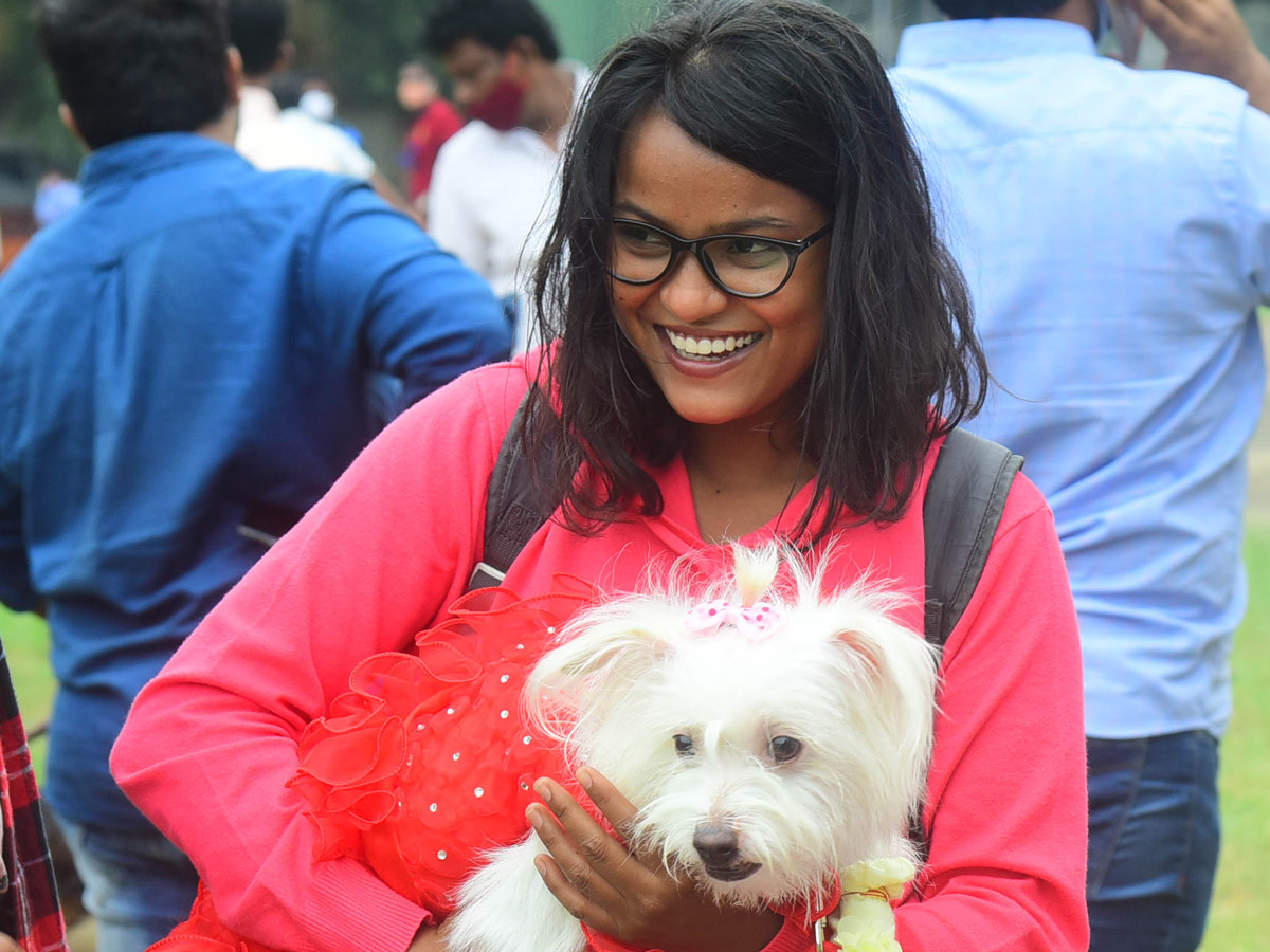 Dog Show In VIjayawada Photo Gallery - Sakshi20