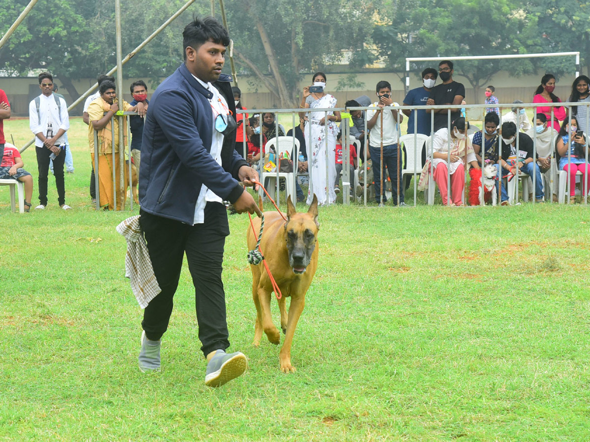 Dog Show In VIjayawada Photo Gallery - Sakshi21