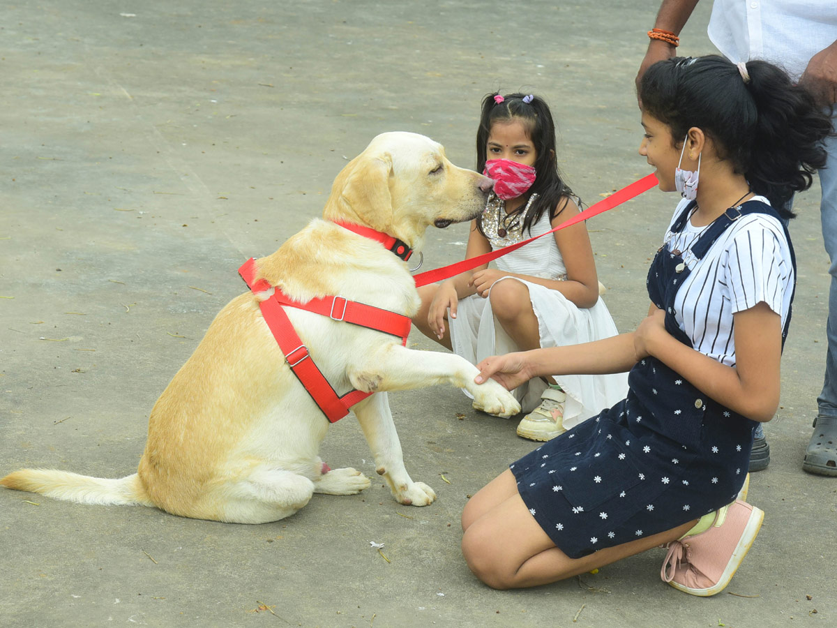 Dog Show In VIjayawada Photo Gallery - Sakshi4