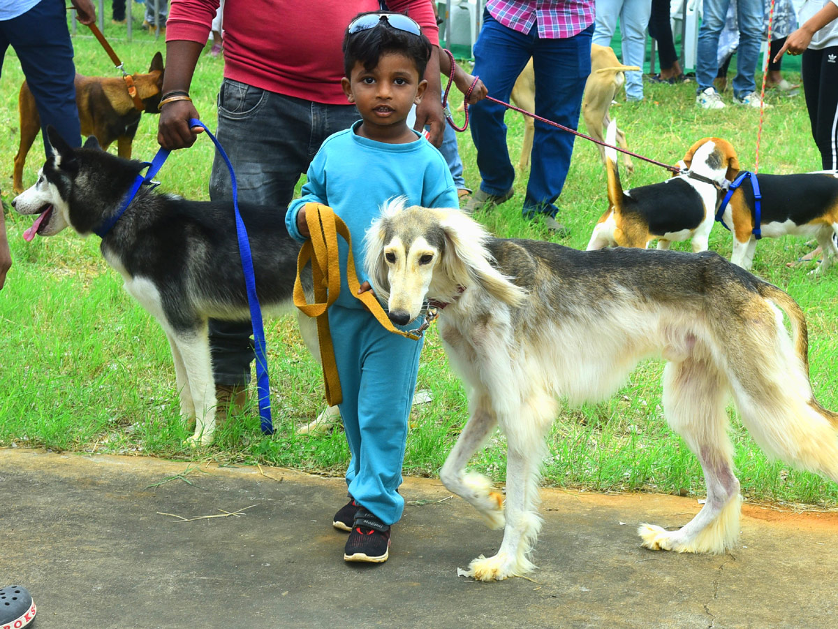 Dog Show In VIjayawada Photo Gallery - Sakshi5