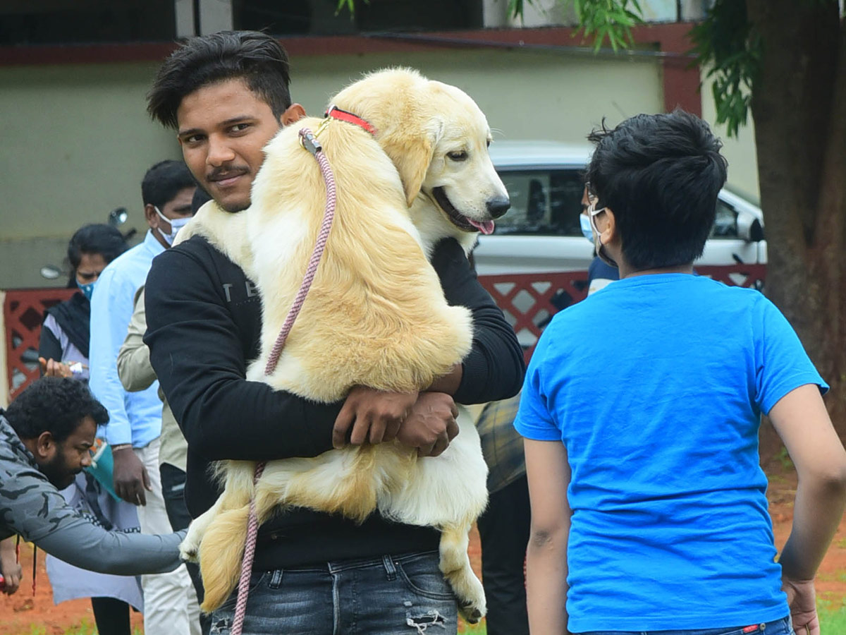 Dog Show In VIjayawada Photo Gallery - Sakshi6