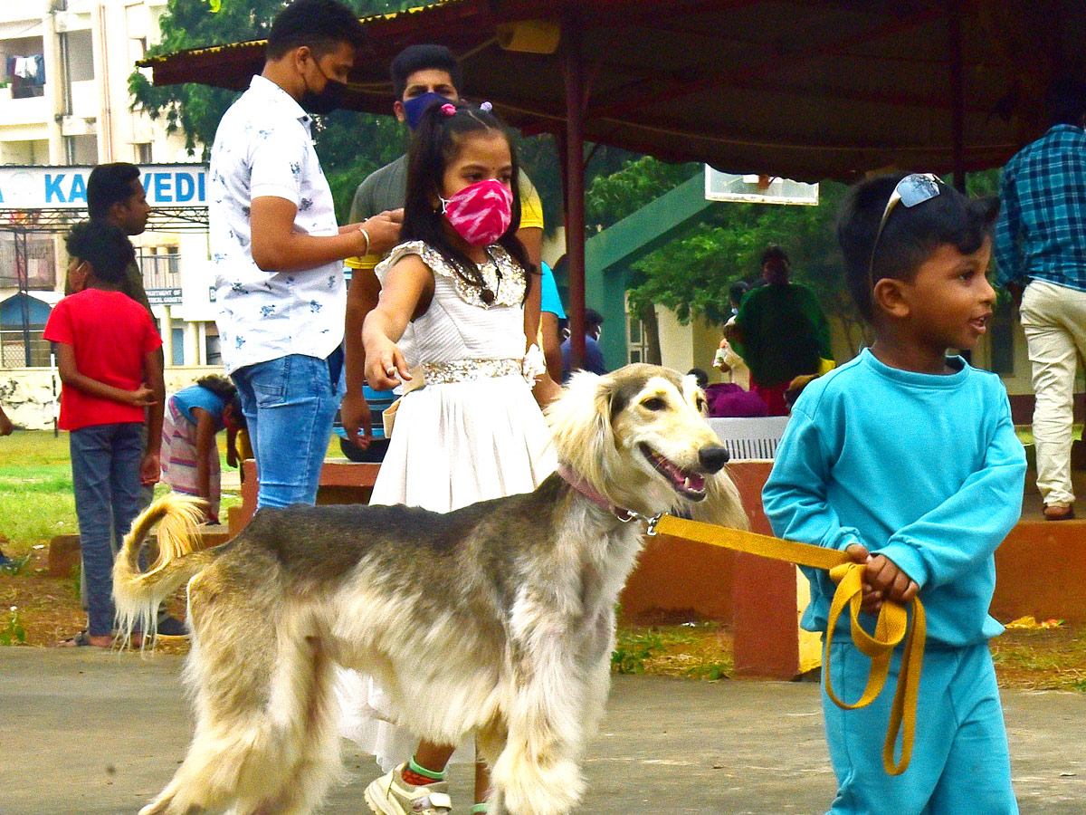 Dog Show In VIjayawada Photo Gallery - Sakshi7