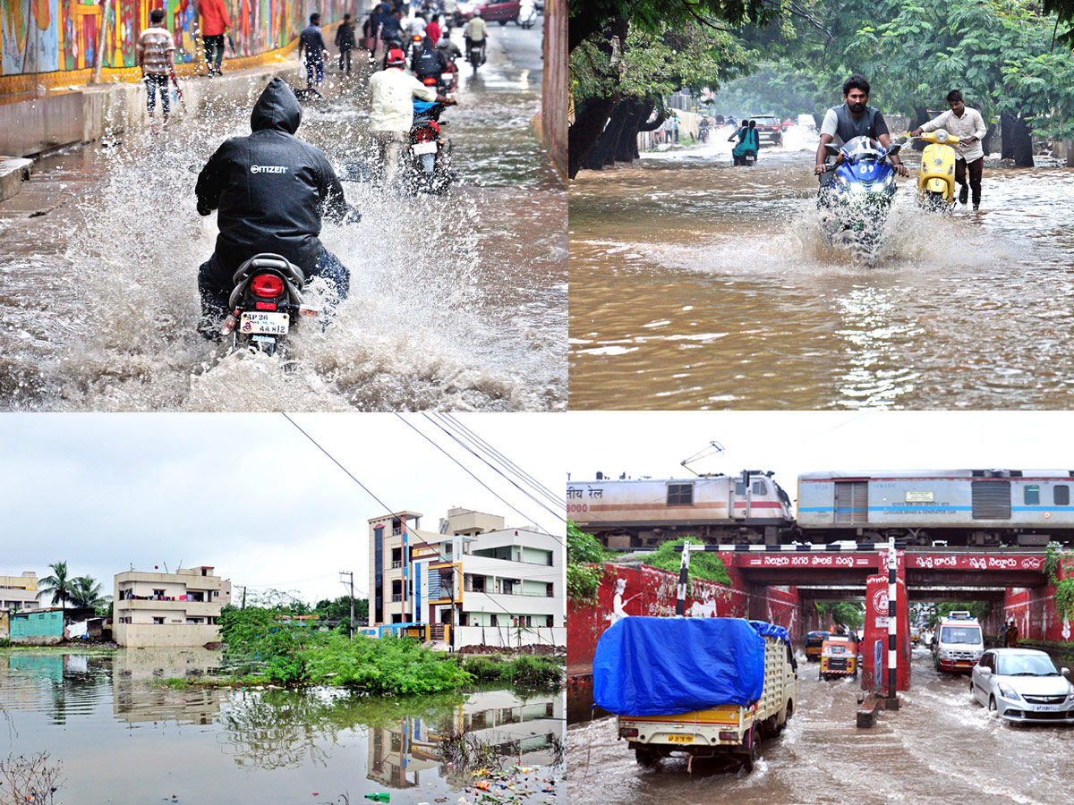 Heavy Rains In Nellore District Photo Gallery - Sakshi1