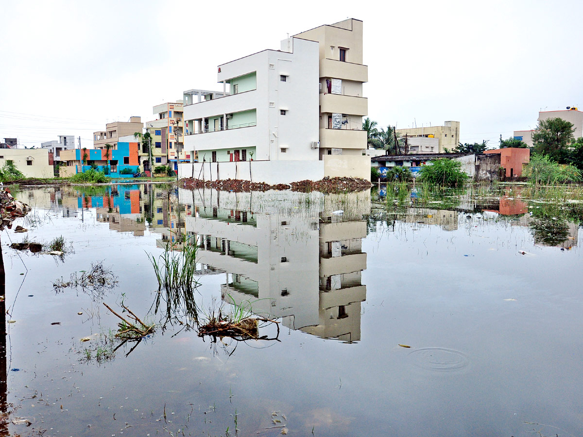 Heavy Rains In Nellore District Photo Gallery - Sakshi10