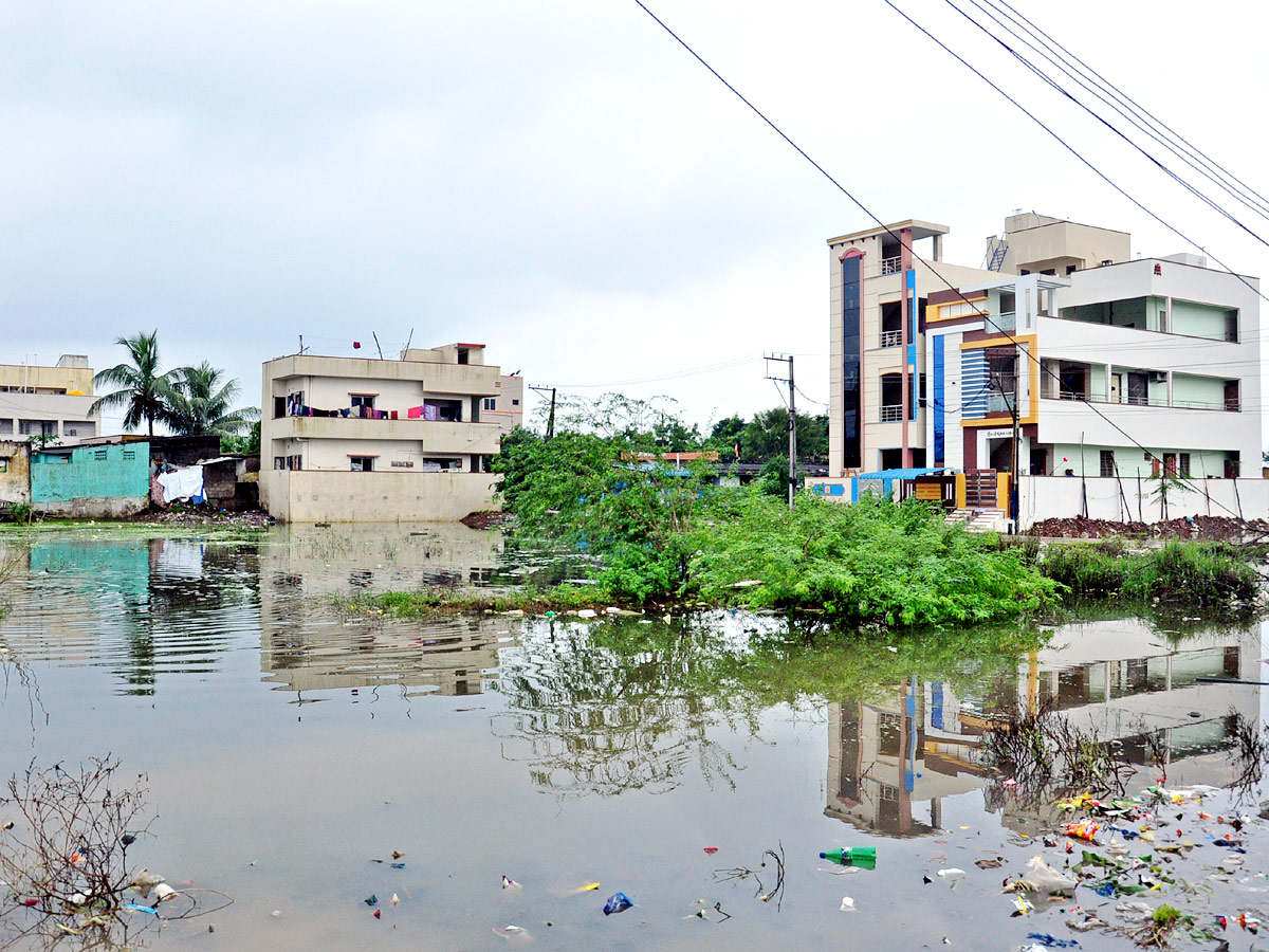 Heavy Rains In Nellore District Photo Gallery - Sakshi11