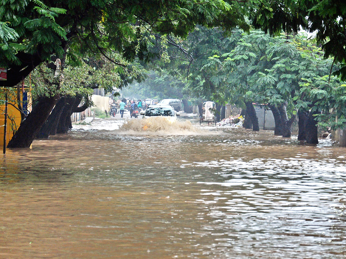 Heavy Rains In Nellore District Photo Gallery - Sakshi19