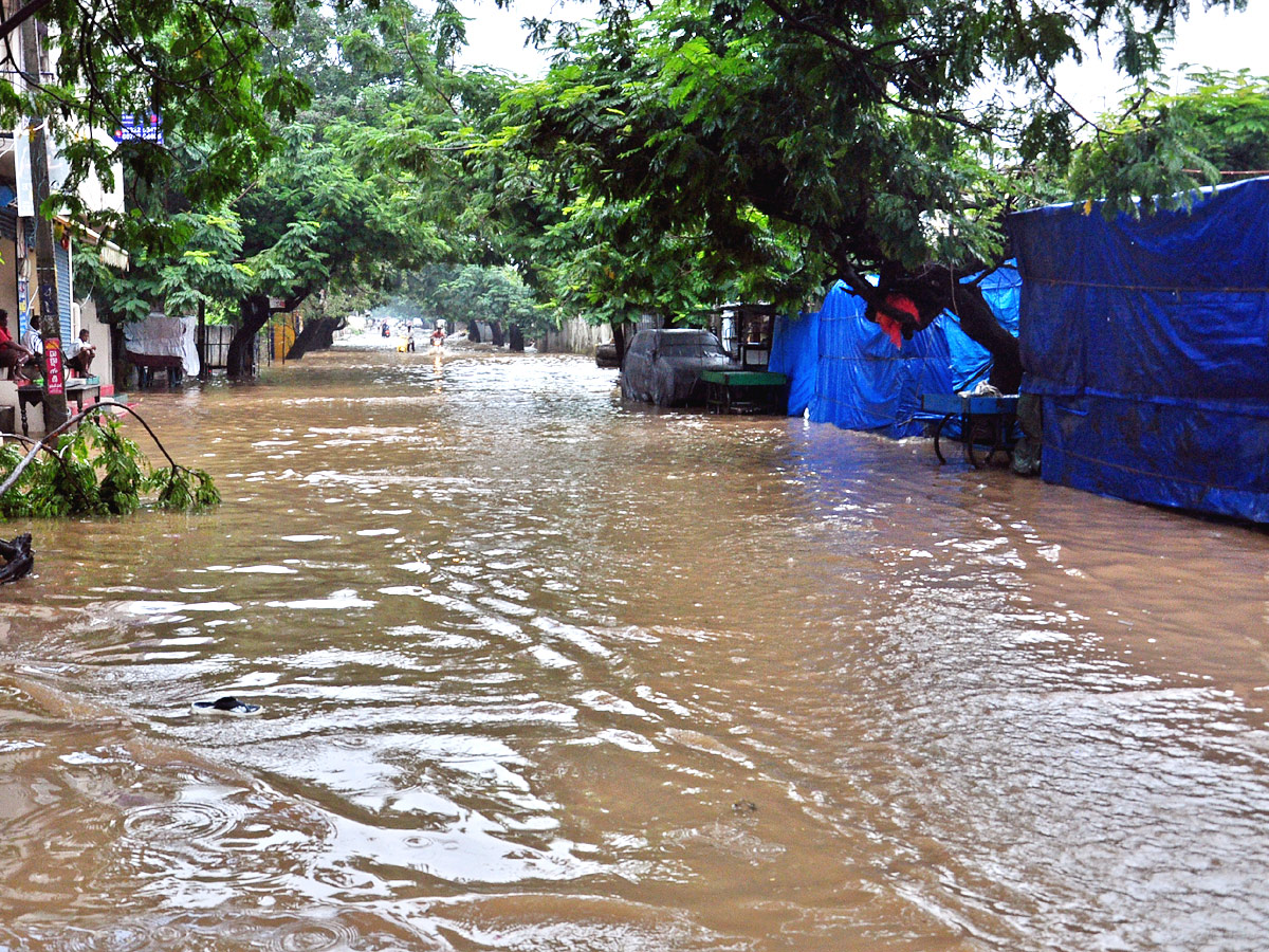 Heavy Rains In Nellore District Photo Gallery - Sakshi7