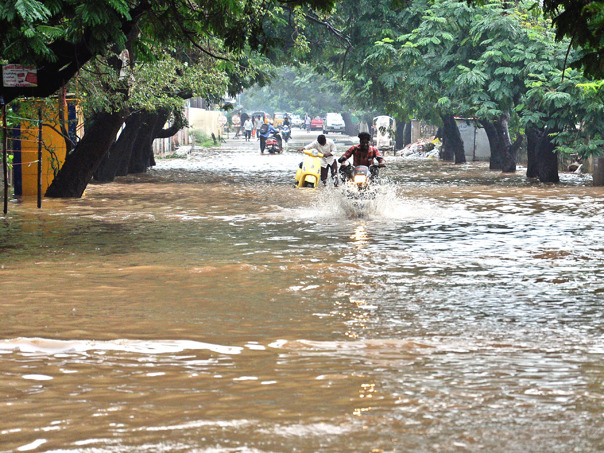 Heavy Rains In Nellore District Photo Gallery - Sakshi9