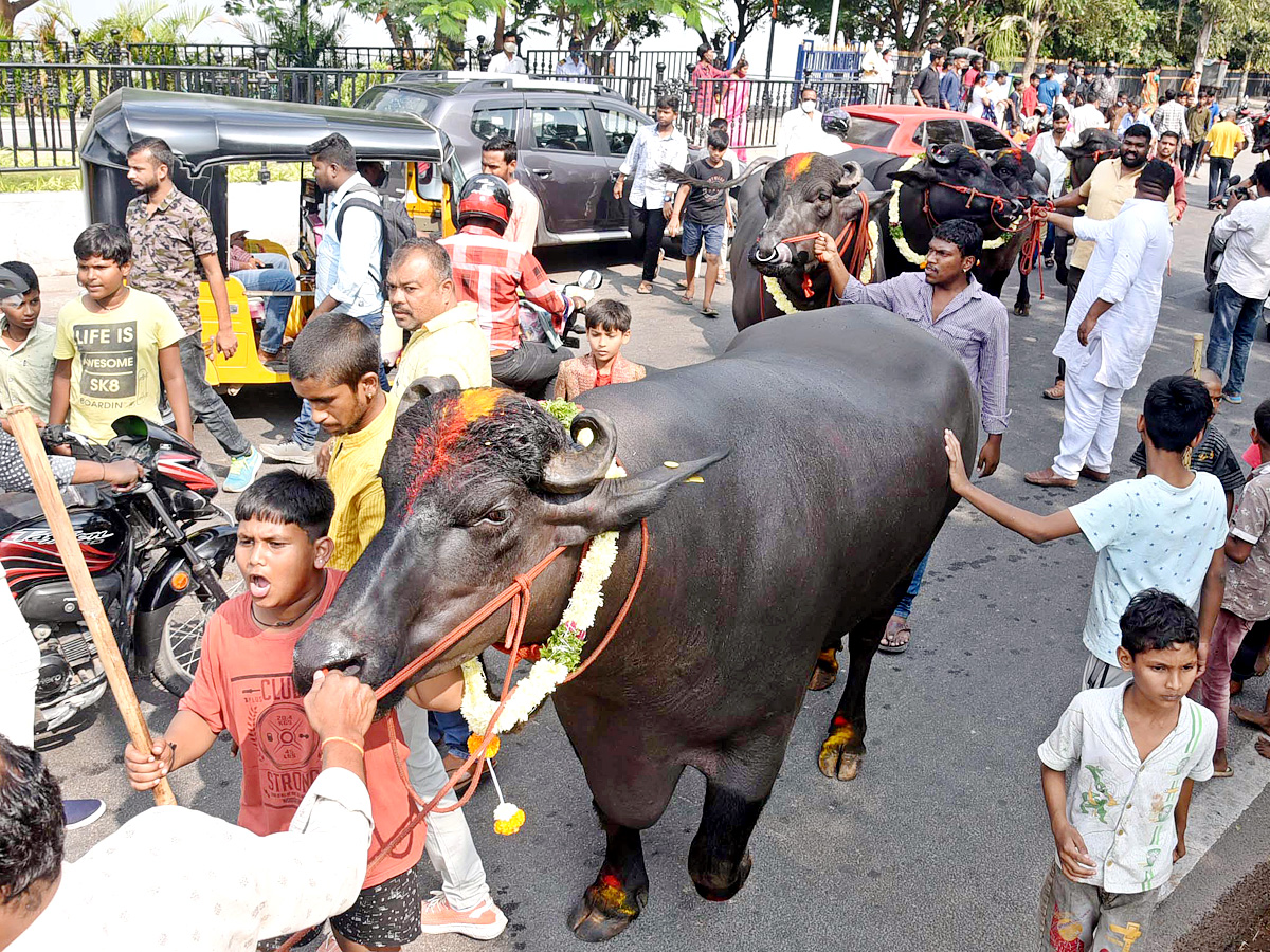 Sadar Festival Celebrations In Hyderabad - Sakshi9