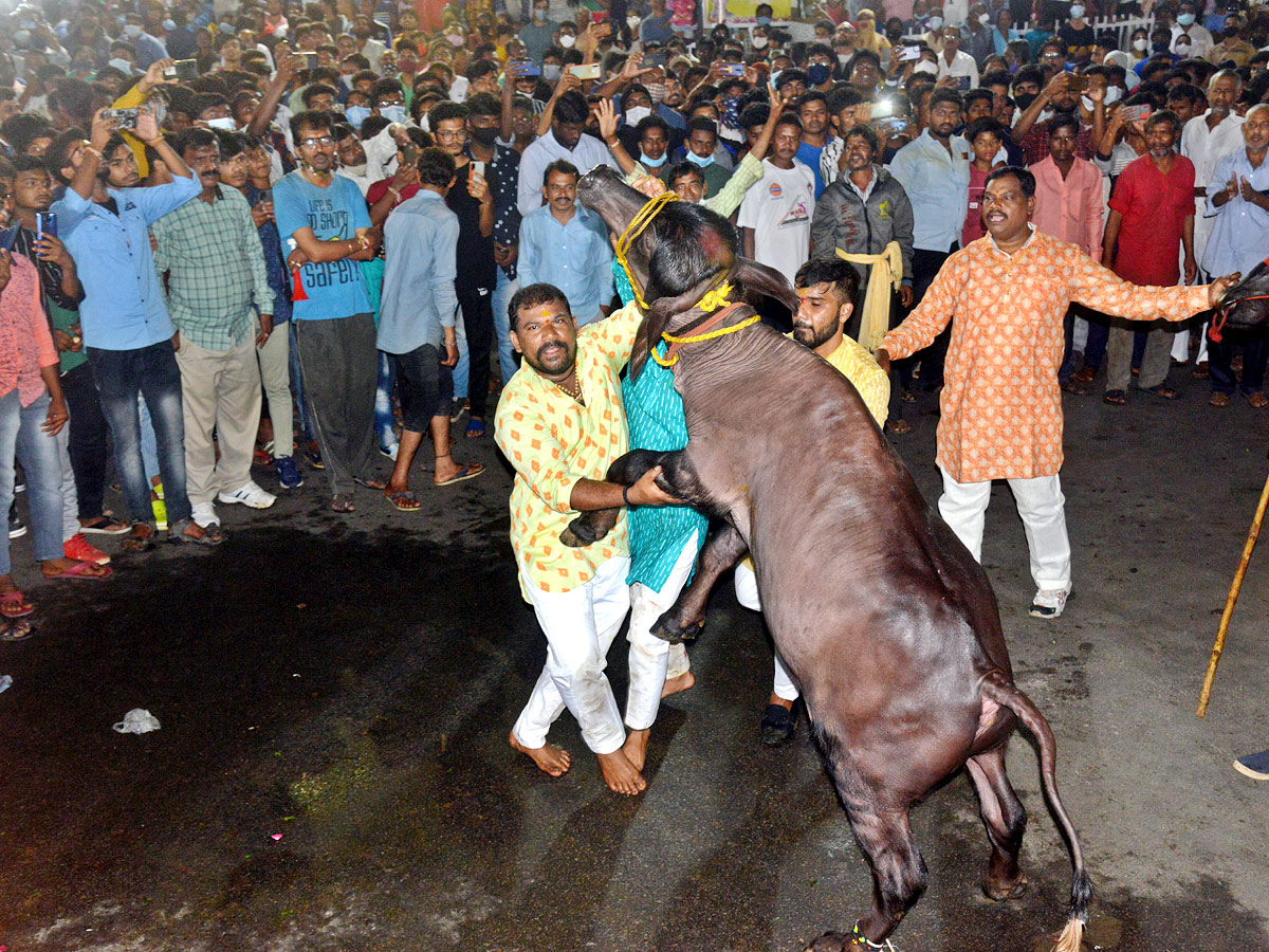 Hyderabad Celebrates Sadar festival Photo Gallery - Sakshi1