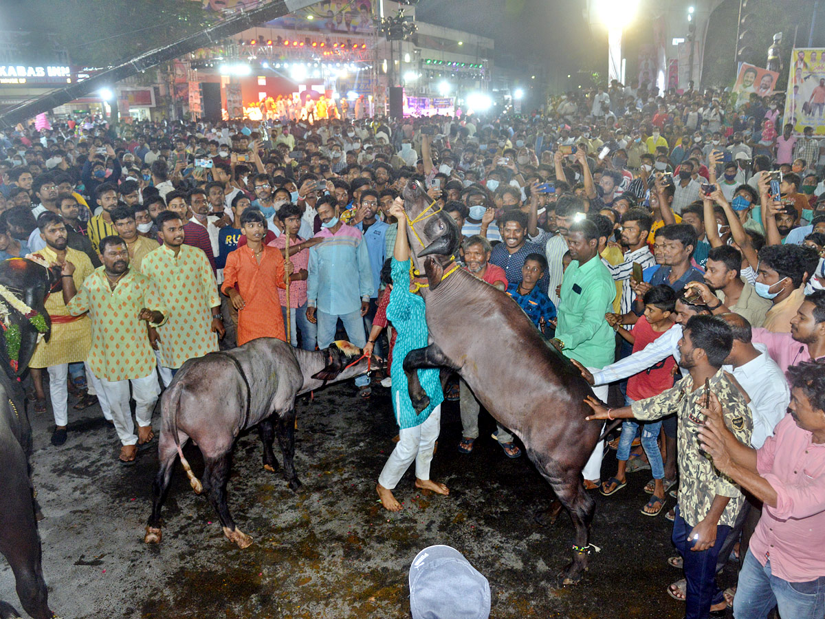 Hyderabad Celebrates Sadar festival Photo Gallery - Sakshi19