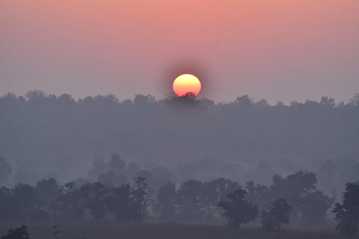 Winter Cold Wave Effect in Adilabad District - Sakshi12