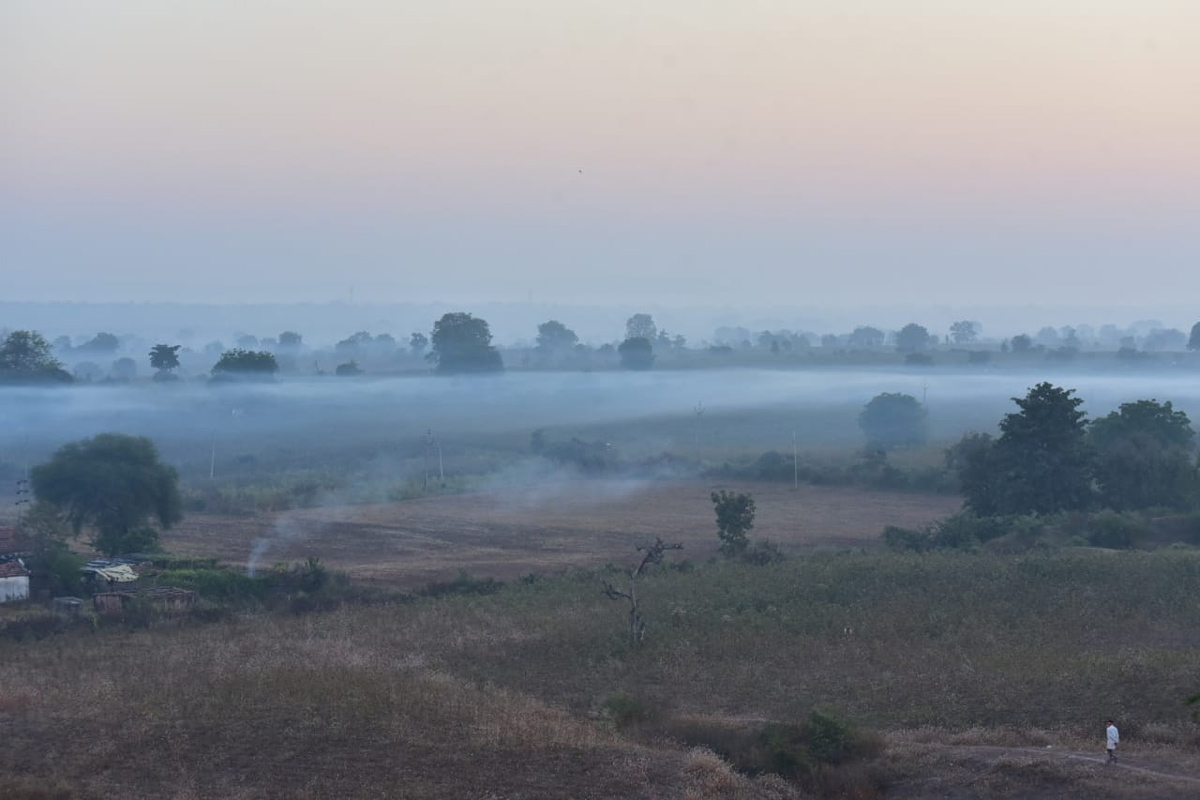 Winter Cold Wave Effect in Adilabad District - Sakshi5