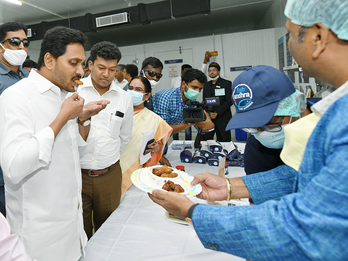 CM YS Jagan Mohan Reddy second day Kadapa Tour Photo Gallery - Sakshi12