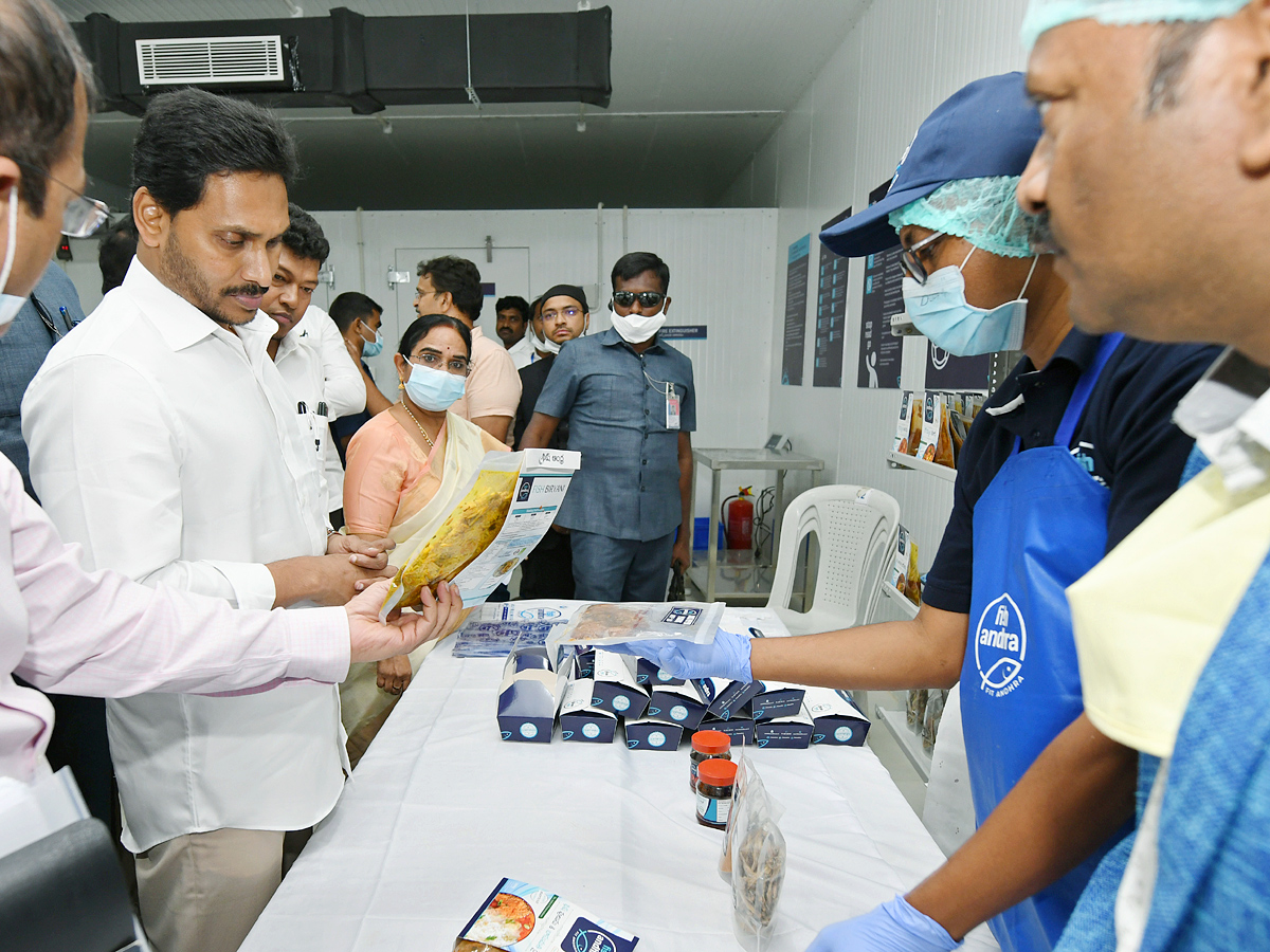 CM YS Jagan Mohan Reddy second day Kadapa Tour Photo Gallery - Sakshi19