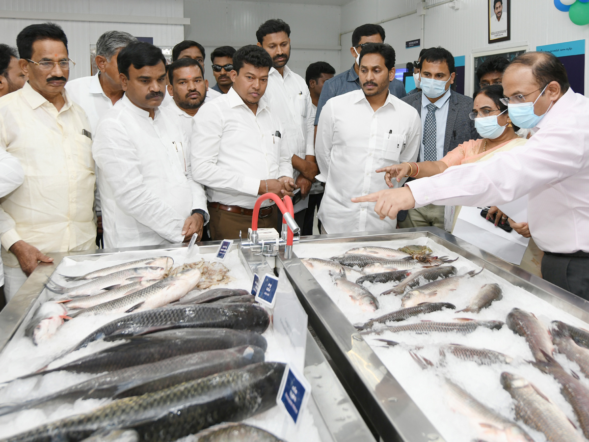 CM YS Jagan Mohan Reddy second day Kadapa Tour Photo Gallery - Sakshi21