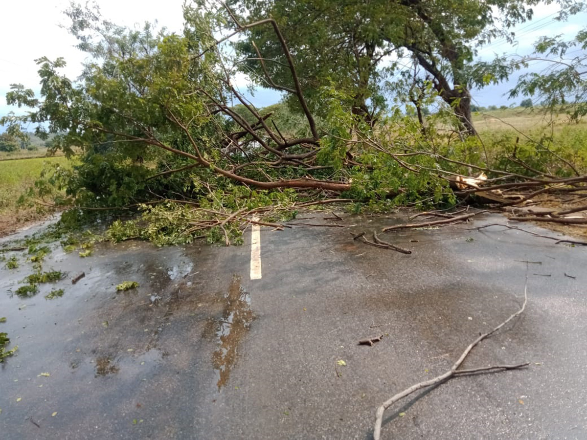 Heavy Rains In karimnagar PHoto Gallery - Sakshi12