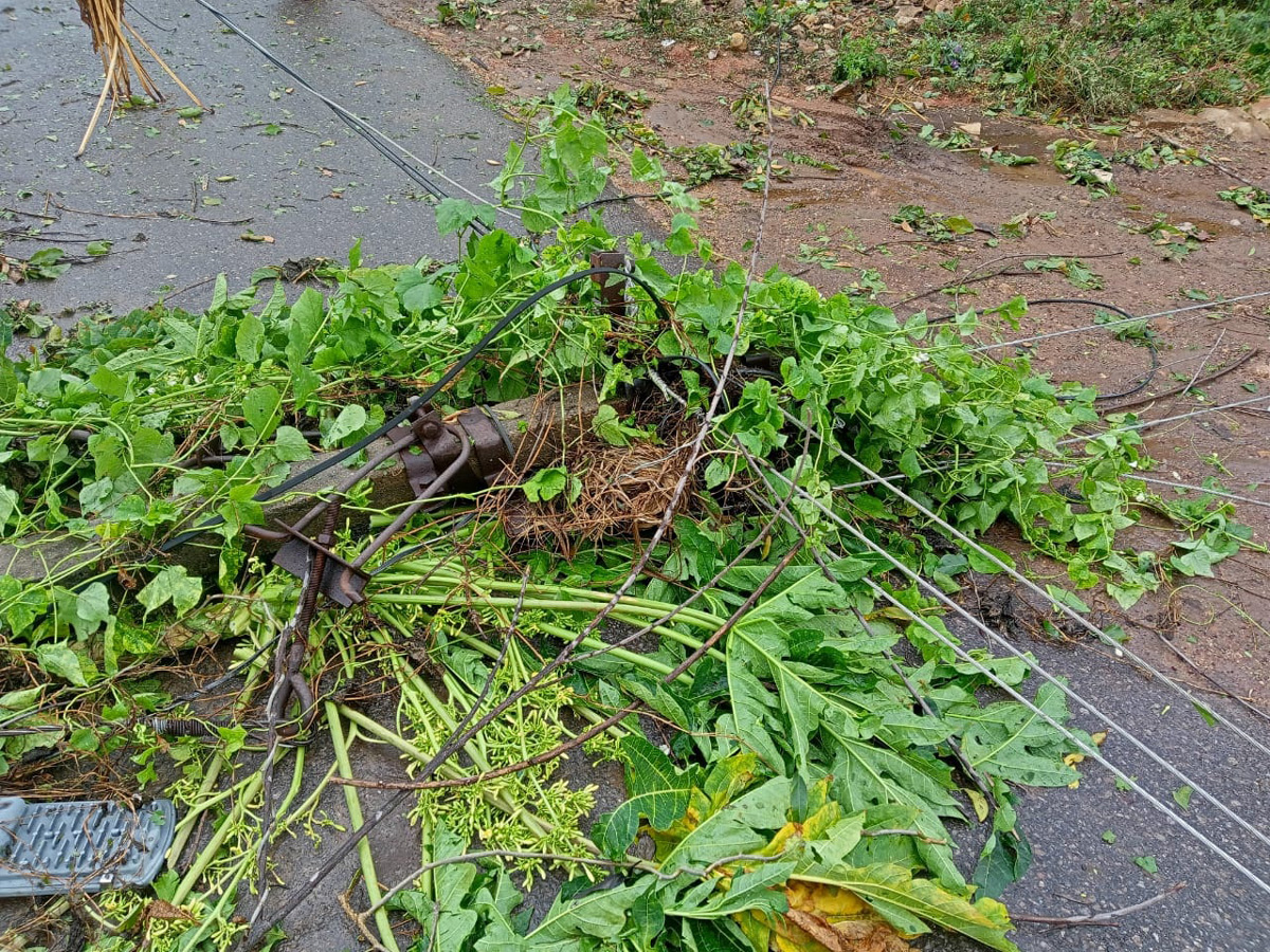 Heavy Rains In karimnagar PHoto Gallery - Sakshi13