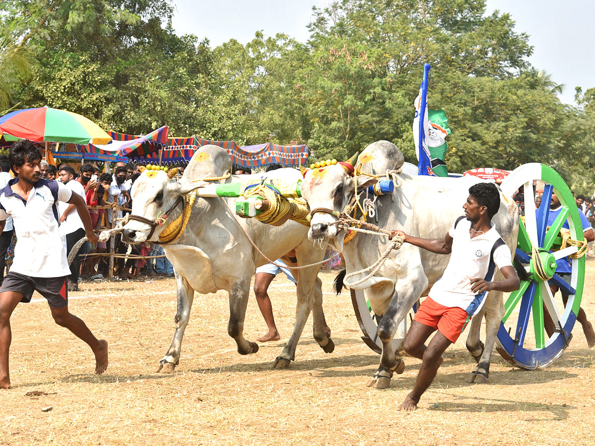 Bull Race in Andhra Pradesh - Sakshi1