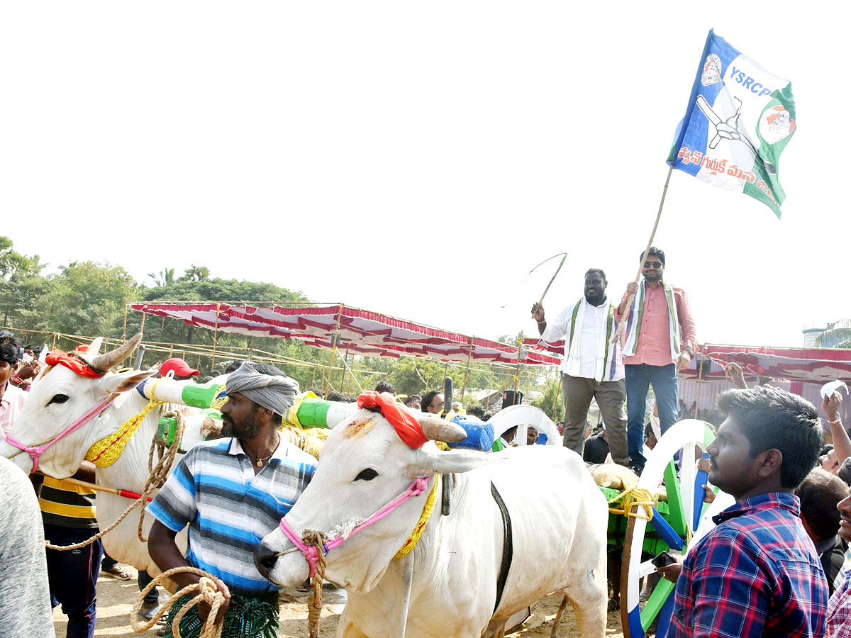 Bull Race in Andhra Pradesh - Sakshi11