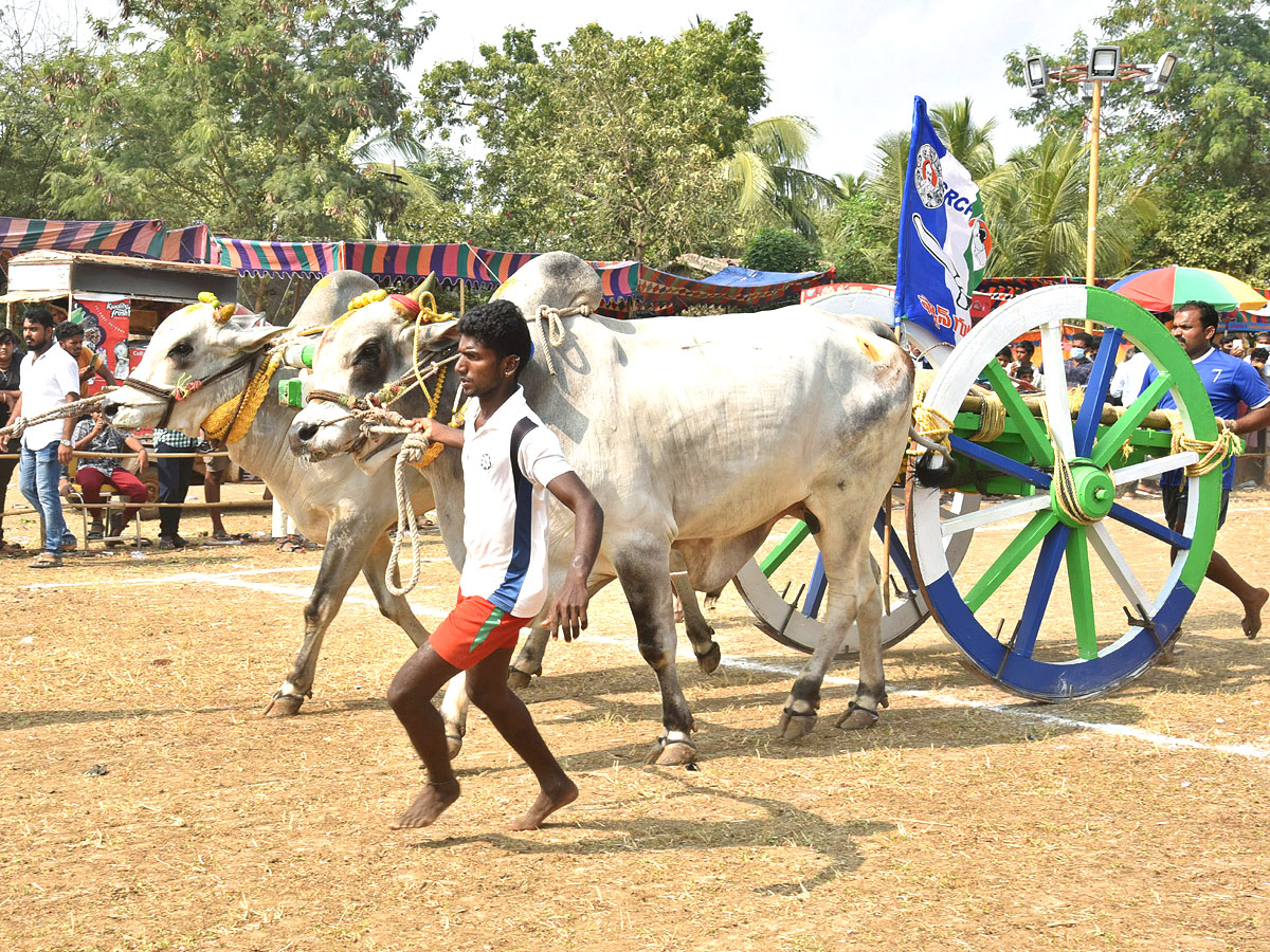 Bull Race in Andhra Pradesh - Sakshi2