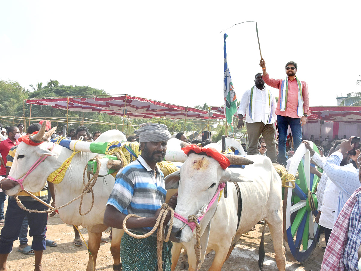 Bull Race in Andhra Pradesh - Sakshi3