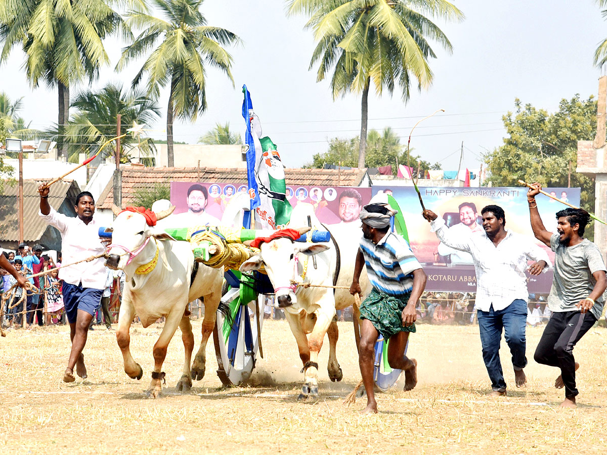 Bull Race in Andhra Pradesh - Sakshi5